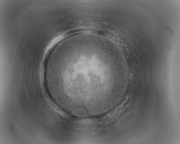 X0000113020149200908271441