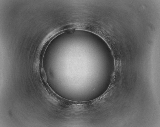 X0000113020150200908271441