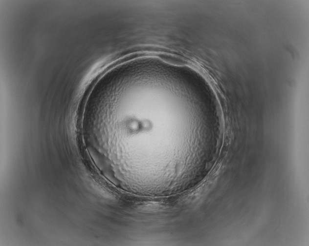 X0000113020151200908271441