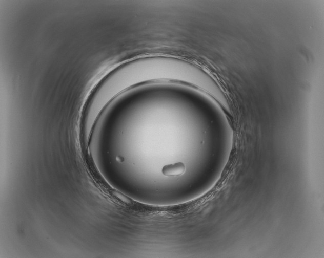 X0000113020152200908271441