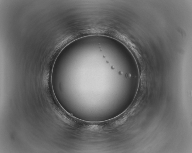 X0000113020153200908271441