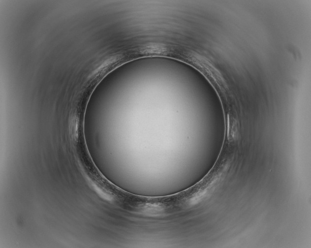 X0000113020157200908271441
