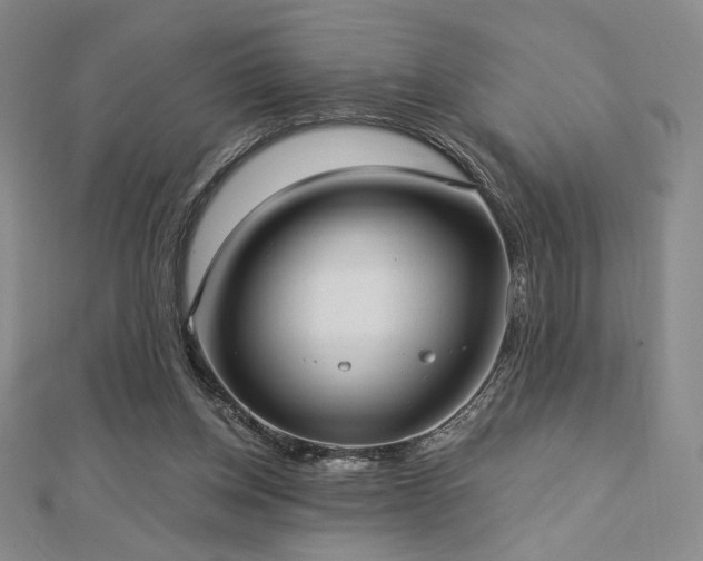 X0000113020158200908271441