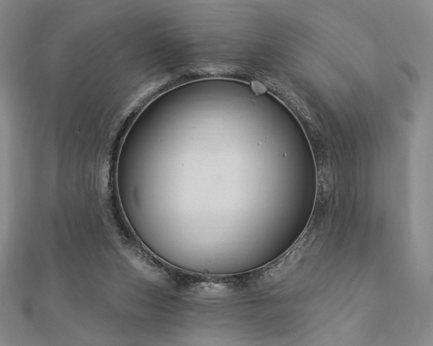 X0000113020159200908271441