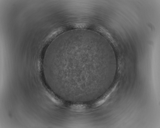 X0000113020161200908271441