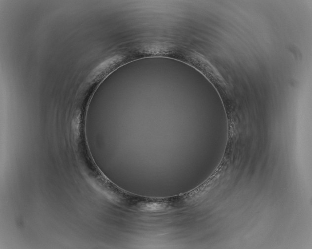 X0000113020163200908271441