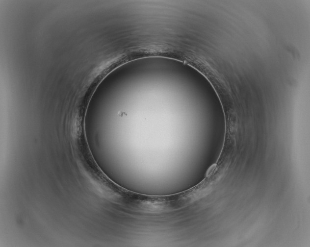 X0000113020164200908271441