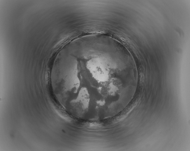 X0000113020165200908271441
