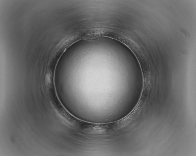 X0000113020166200908271441