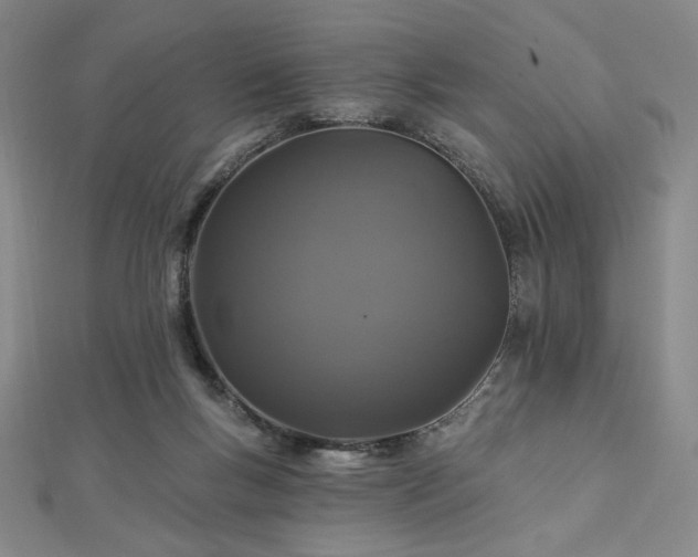 X0000113020167200908271441