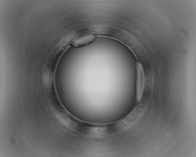 X0000113020168200908271441