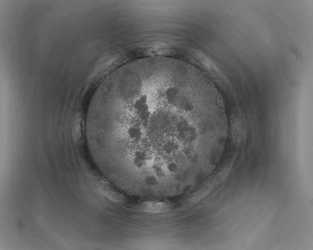 X0000113020169200908271441
