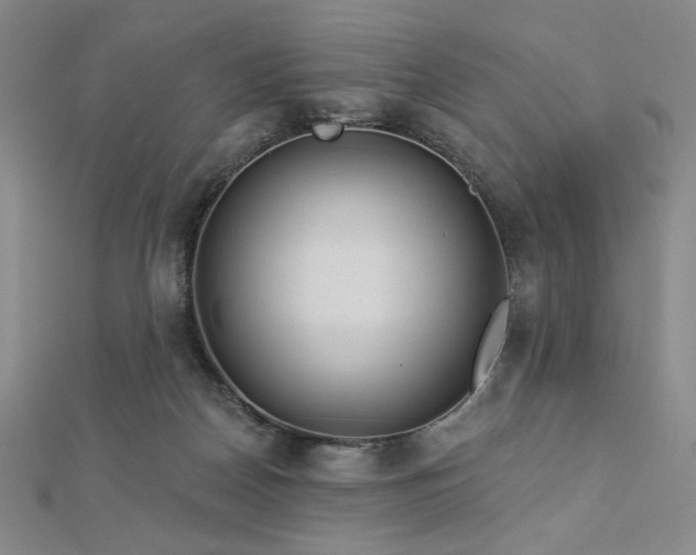 X0000113020170200908271441