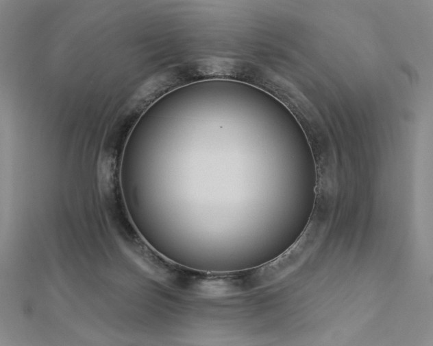 X0000113020171200908271441