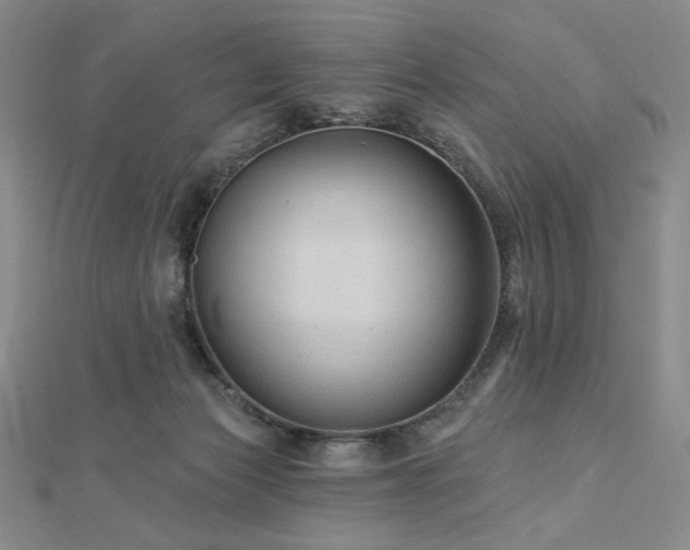 X0000113020173200908271441