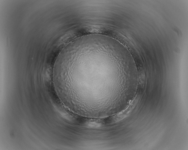 X0000113020175200908271441
