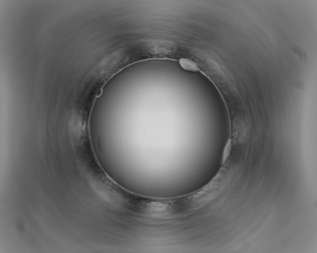 X0000113020176200908271441