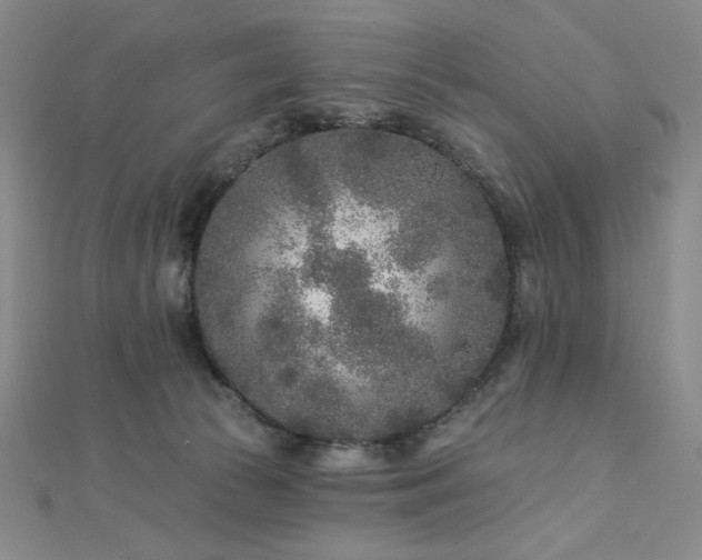 X0000113020177200908271441