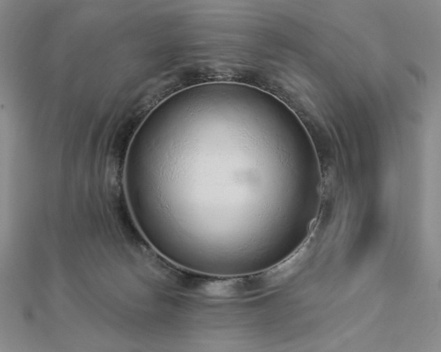 X0000113020178200908271441