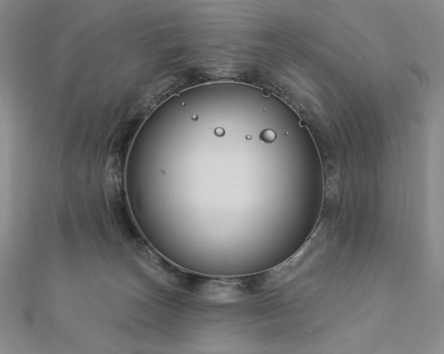 X0000113020179200908271441