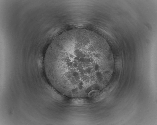 X0000113020181200908271441