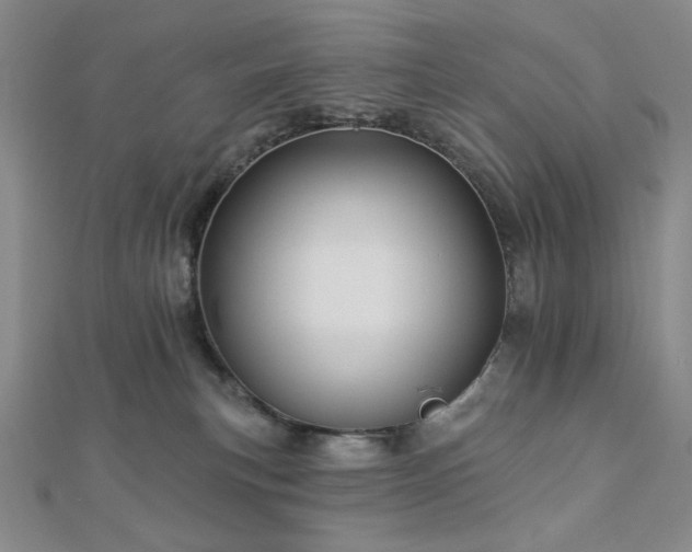 X0000113020183200908271441