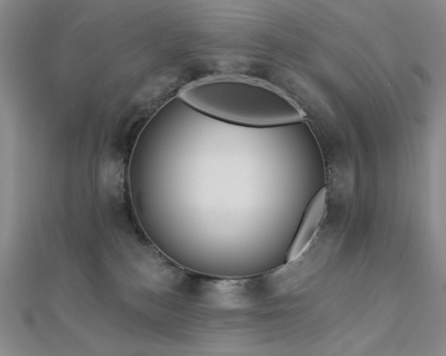 X0000113020184200908271441