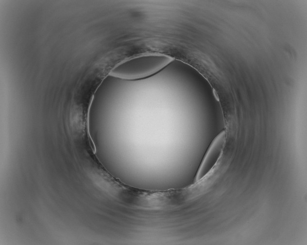 X0000113020186200908271441