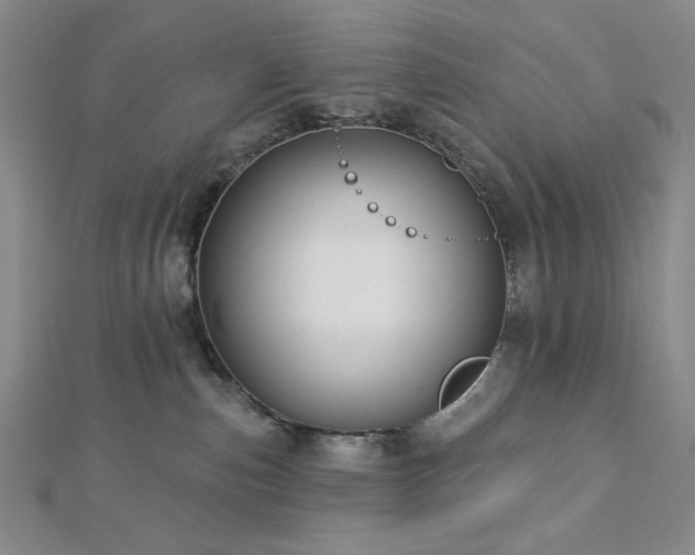 X0000113020187200908271441