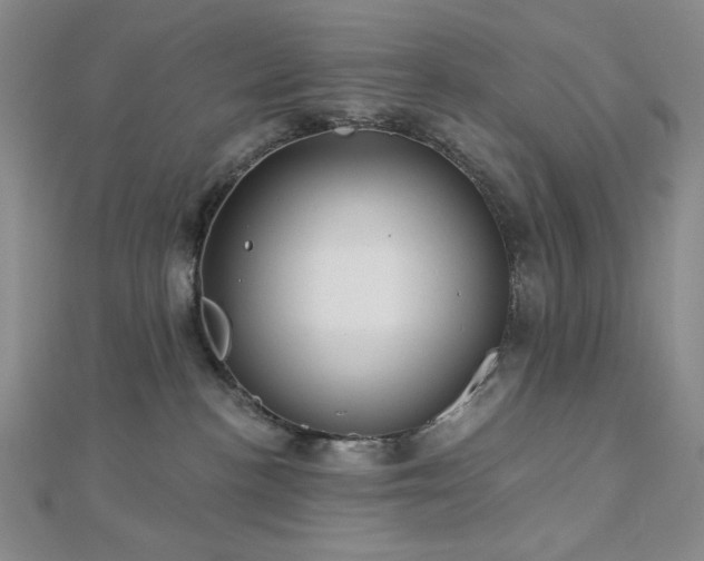 X0000113020188200908271441