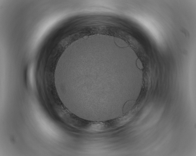 X0000113020189200908271441