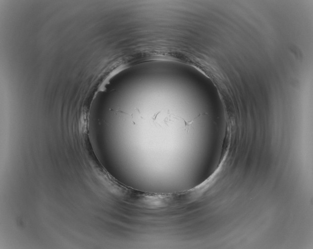 X0000113020190200908271441