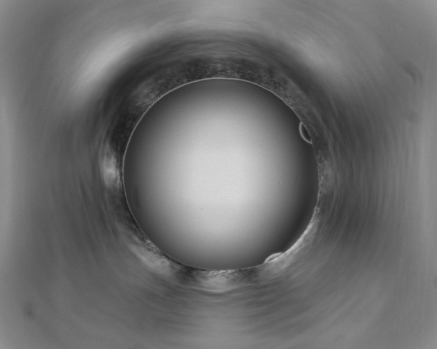 X0000113020191200908271441