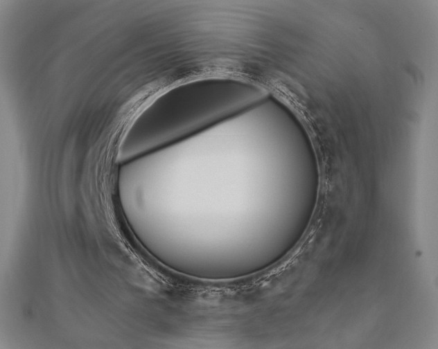 X0000113020193200908271441