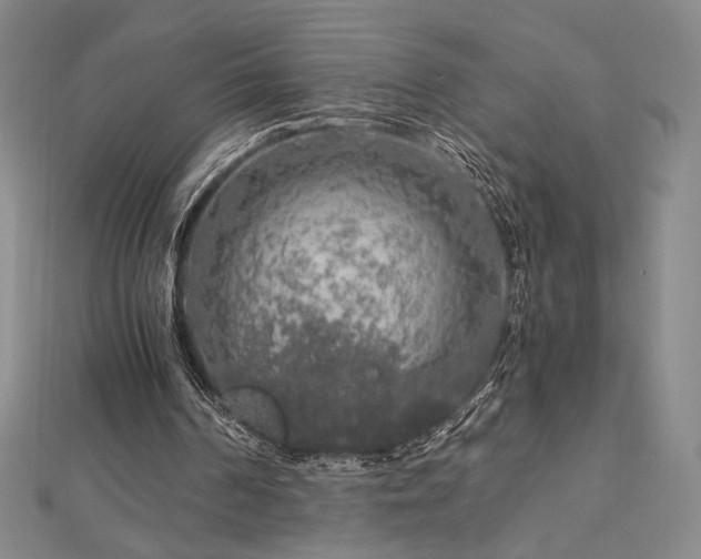 X0000113020194200908271441