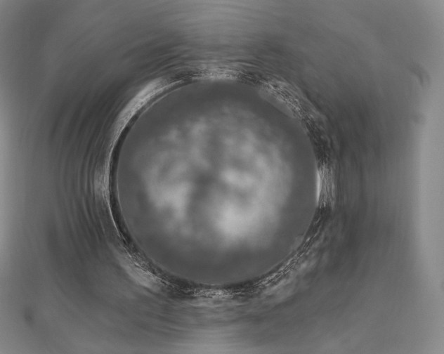 X0000113020195200908271441