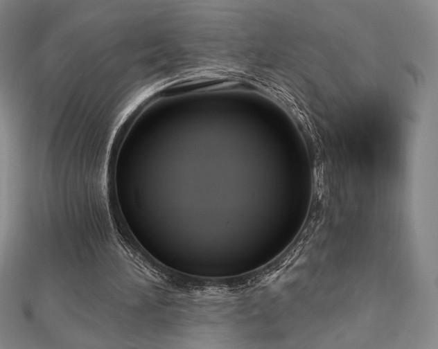 X0000113020196200908271441