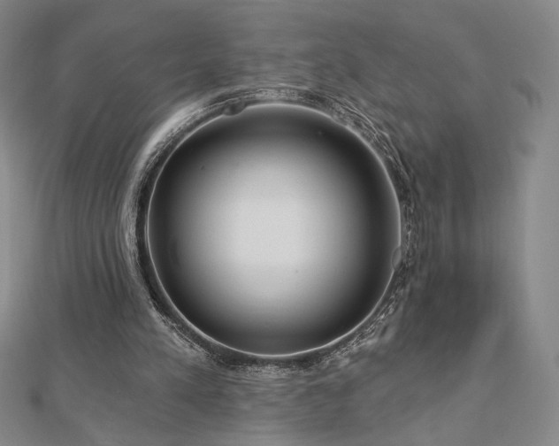 X0000113020197200908271441