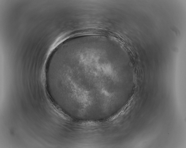 X0000113020198200908271441