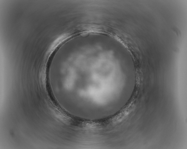 X0000113020199200908271441