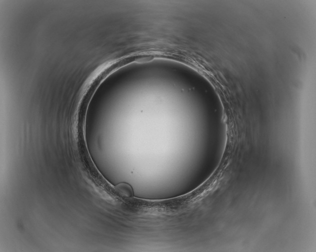 X0000113020200200908271441