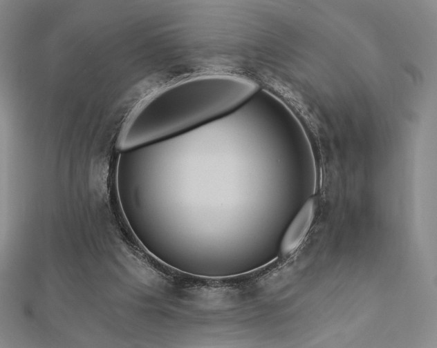X0000113020201200908271441