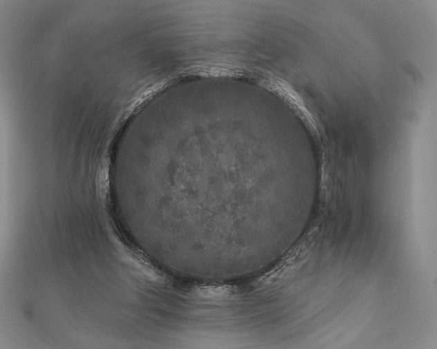 X0000113020202200908271441