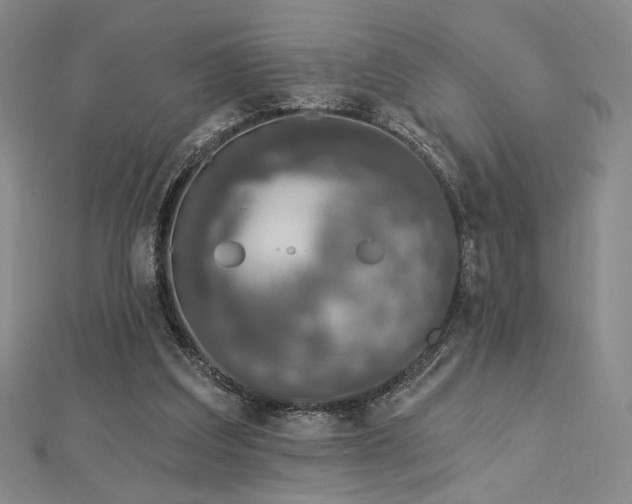 X0000113020203200908271441