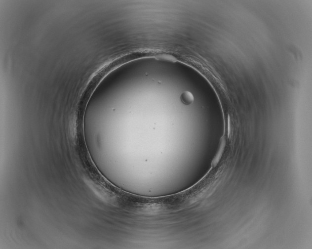 X0000113020204200908271440