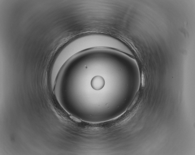 X0000113020205200908271440