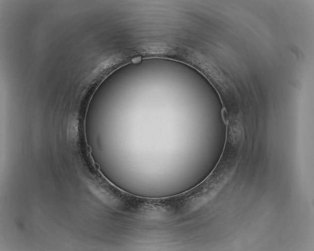 X0000113020207200908271440