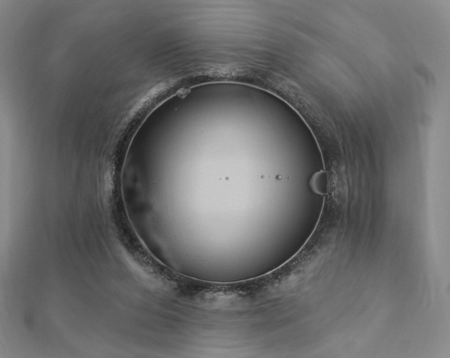 X0000113020208200908271440