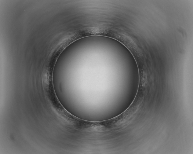 X0000113020210200908271440