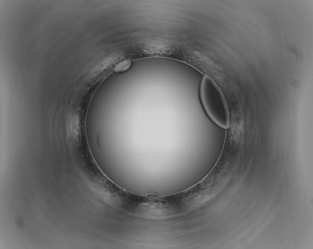 X0000113020211200908271440